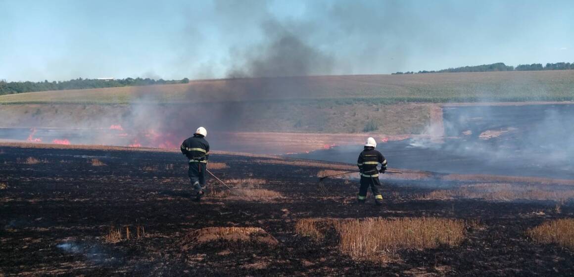 На Вінниччині вигоріло майже 6 гектарів землі