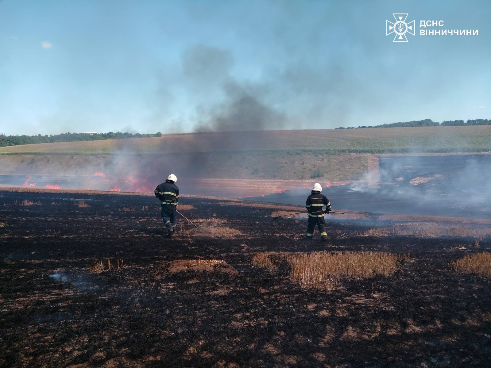 На Вінниччині вигоріло майже 6 гектарів землі