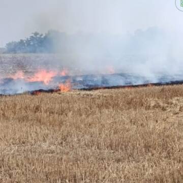 Вогонь на полі: на Вінниччині жінку оштрафували за підпал стерні