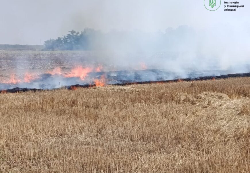 Вогонь на полі: на Вінниччині жінку оштрафували за підпал стерні
