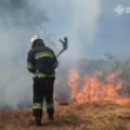 Минулої доби в області сталося 19 пожеж
