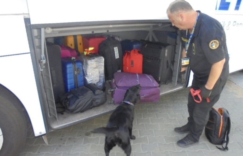 На Вінниччині службовий собака викрив спробу провезення канабісу