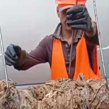 Вінницькі комунальники шокували знахідкою з каналізації