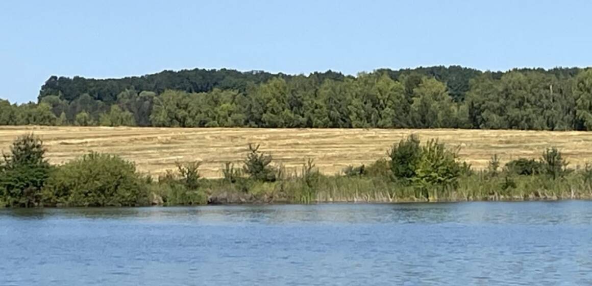 Самовільне захоплення земель та розорювання на Шаргородщині