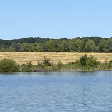 Самовільне захоплення земель та розорювання на Шаргородщині