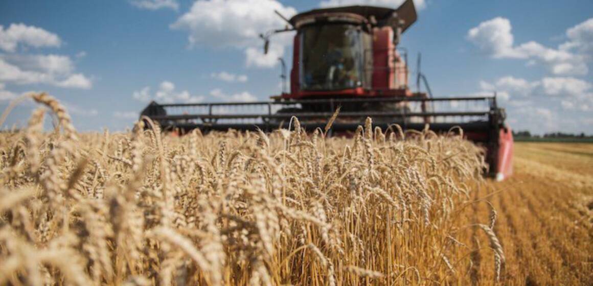 Аграрії Вінниччини вже зібрали третину врожаю зернових