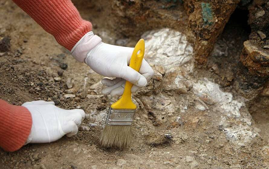 У Вінниці пройде виставка