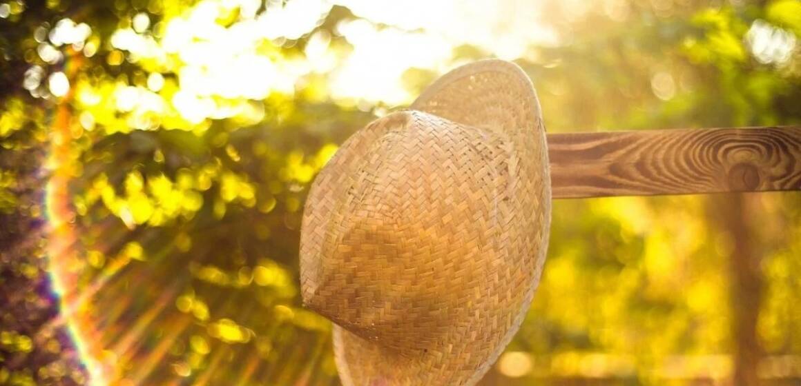 На Вінниччині на вихідні прогнозують спеку і без опадів