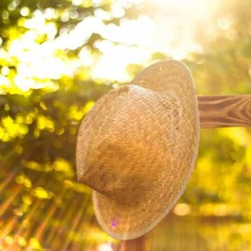 На Вінниччині на вихідні прогнозують спеку і без опадів