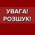 Розшук: правоохоронці просять допомогти розшукати 17-річну Єлизавету Волошину