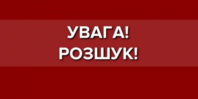 Розшук: правоохоронці просять допомогти розшукати 17-річну Єлизавету Волошину