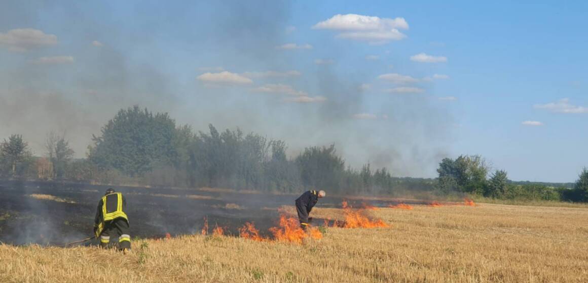 Пожежа на полі на Вінниччині