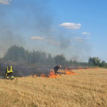 Пожежа на полі на Вінниччині