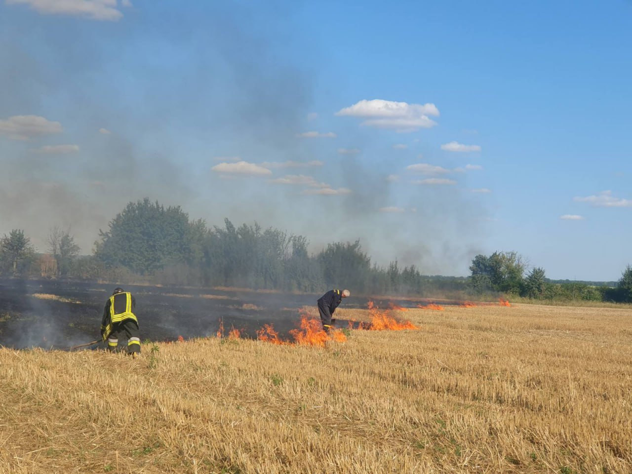 Пожежа на полі на Вінниччині