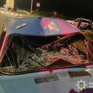 Смертельна аварія у Гайсинському районі забрала життя 69-річної велосипедистки