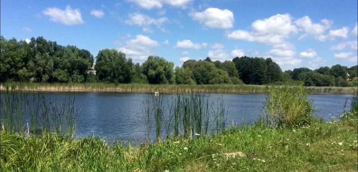 На Вінниччині повернули громаді 201 гектар водойм з безоплатного користування