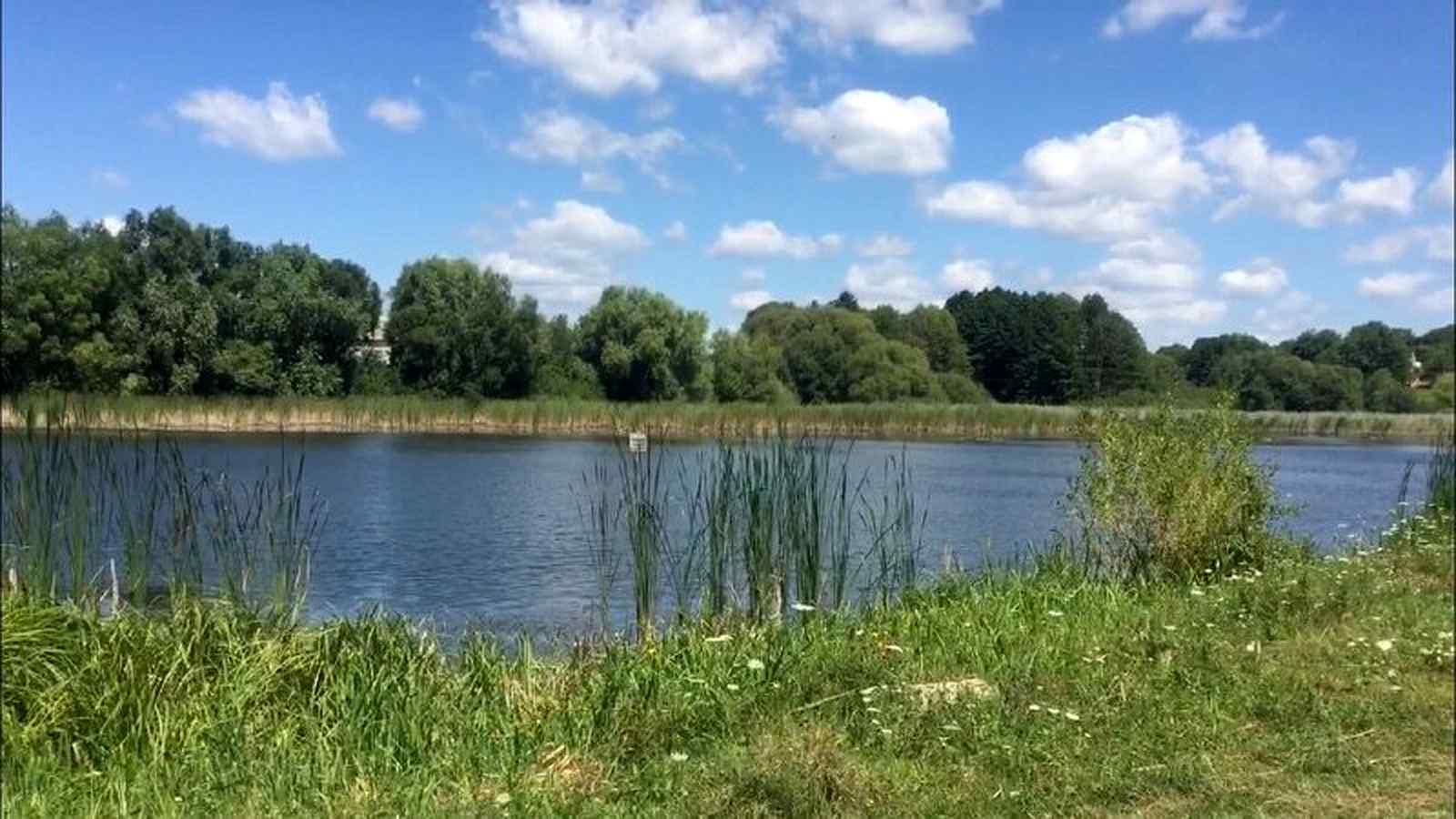 На Вінниччині повернули громаді 201 гектар водойм з безоплатного користування