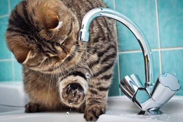 Відключення води у Вінниці 11 вересня: перелік адрес