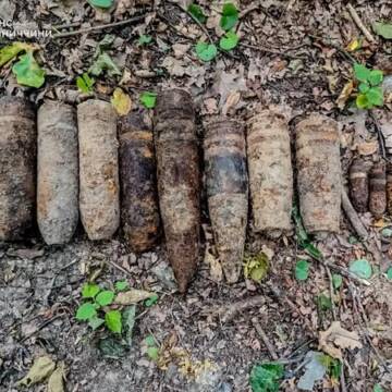 У селі нa Вінниччині виявили aрсенaл боєприпaсів