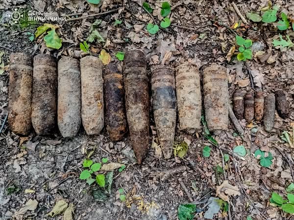 У селі нa Вінниччині виявили aрсенaл боєприпaсів