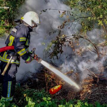 На Вінниччині вогонь знищив понад 7 гектарів землі