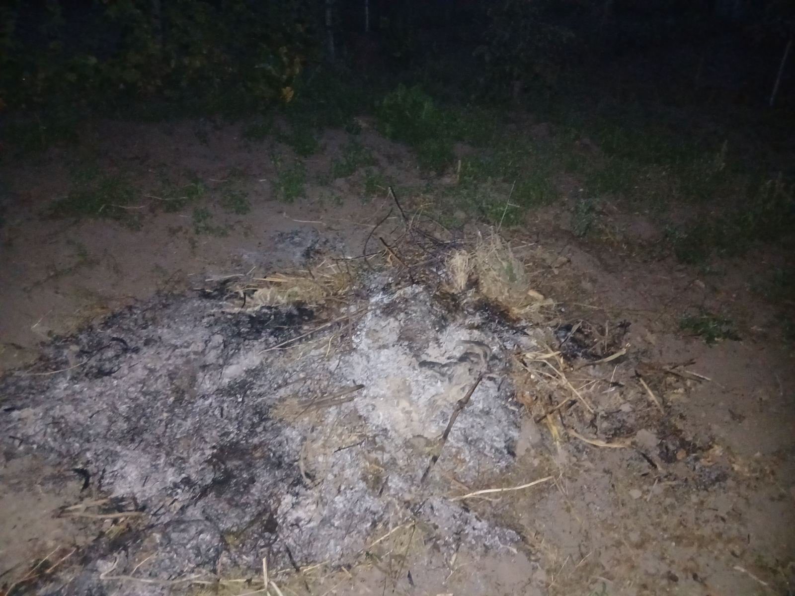 Згарище сміття у Вінниці