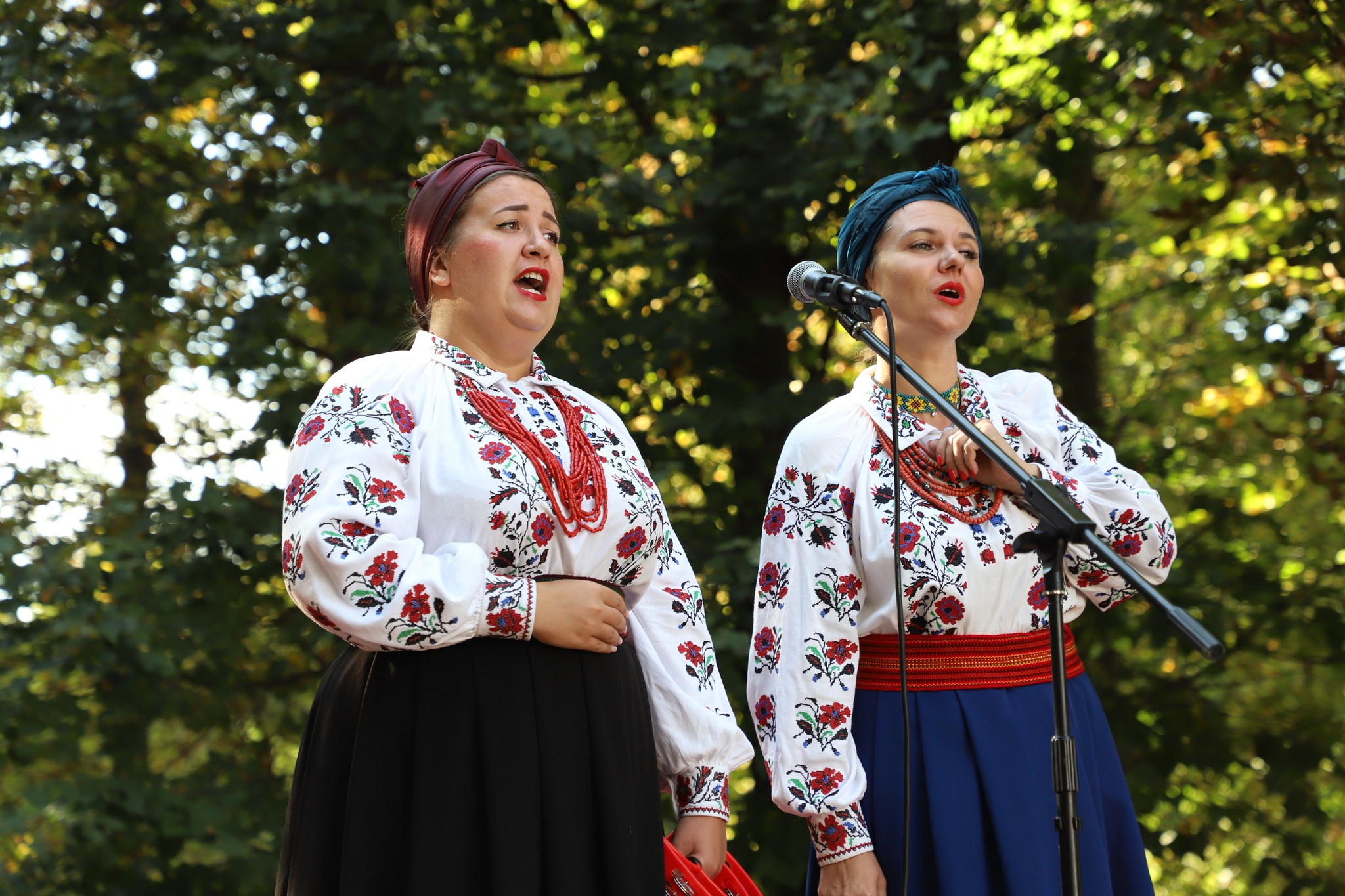 День села в Мізяківських Хуторах на Вінниччині