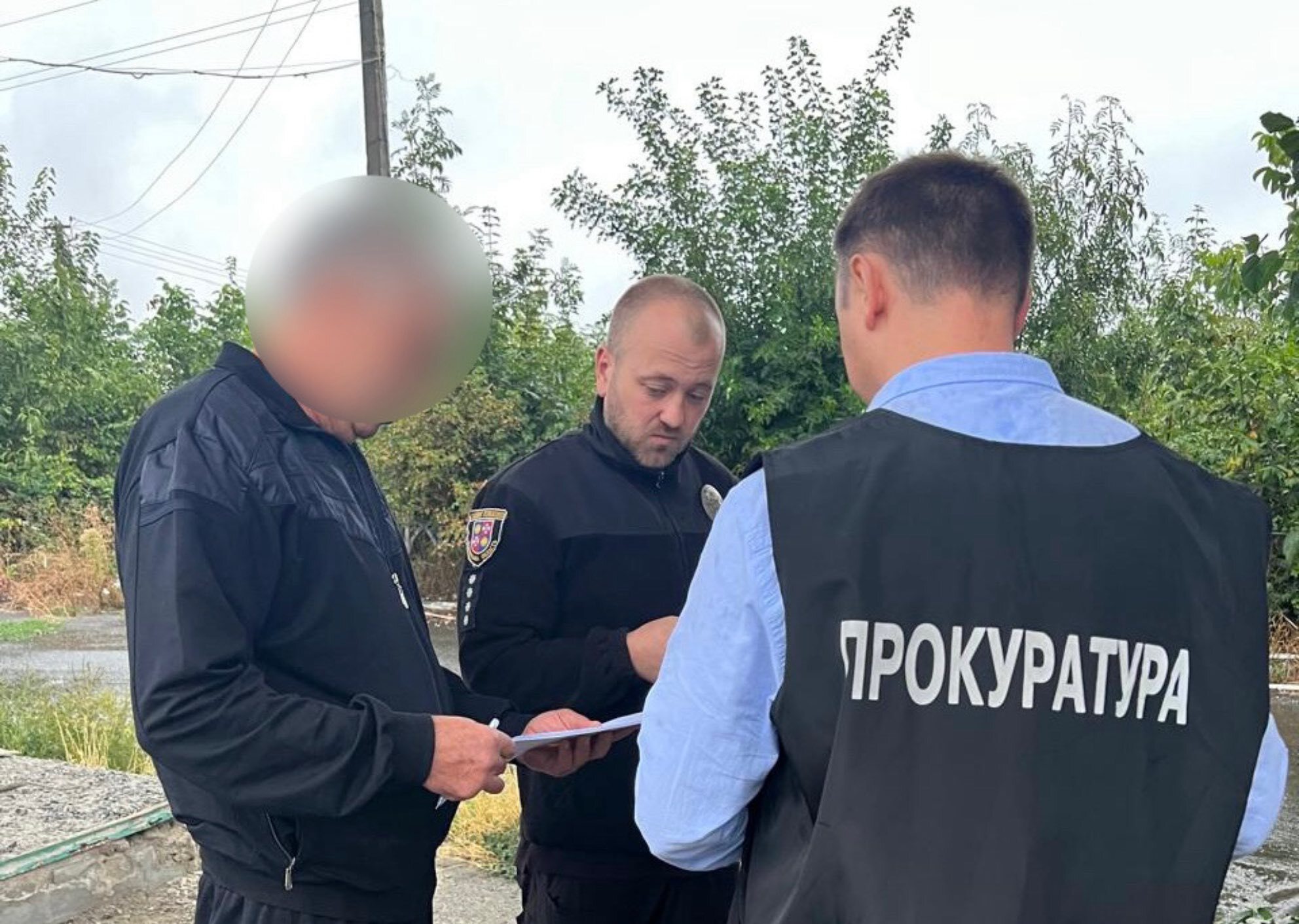 Незаконна вирубка лісу на Вінниччині: підозру отримали ще двоє осіб