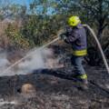 На Вінниччині сталася велика пожежа у селі Борсуки
