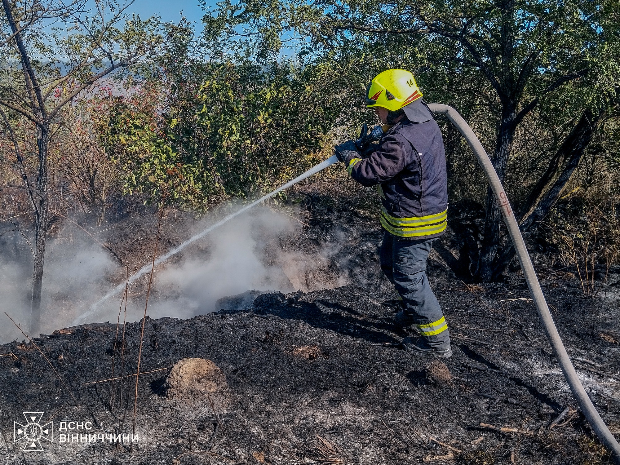 На Вінниччині сталася велика пожежа у селі Борсуки