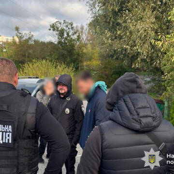 На Вінниччині слідчі викрили незаконну вирубку дерев на понад 3 мільйони гривень