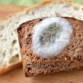 Що буде, якщо вживати продукти з пліснявою навіть після очищення
