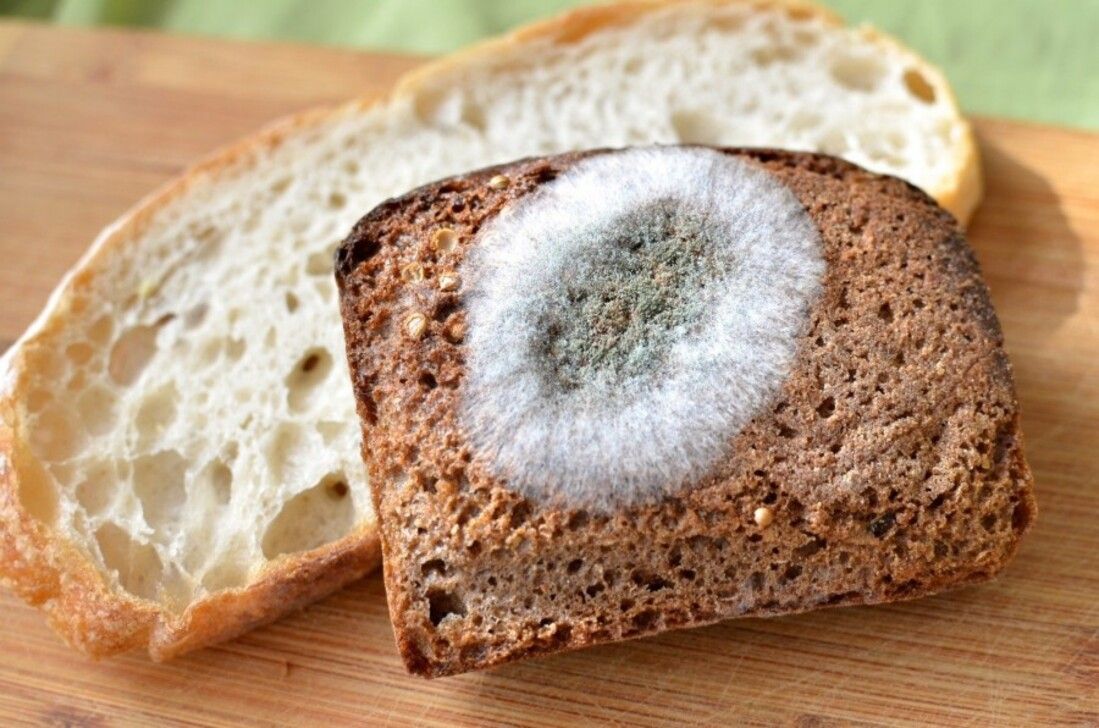 Що буде, якщо вживати продукти з пліснявою навіть після очищення