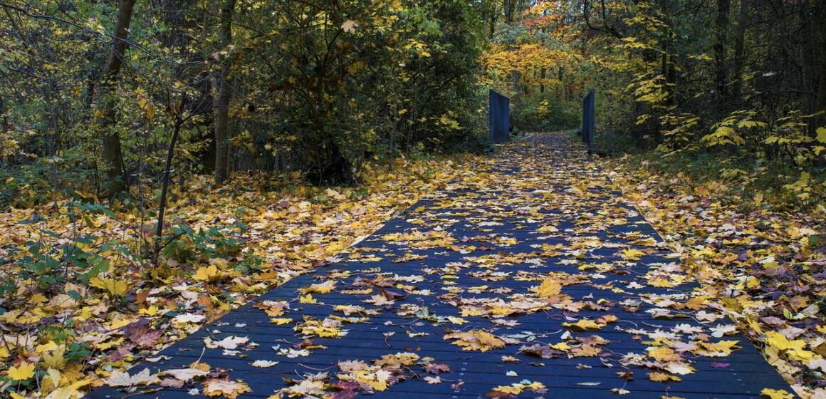 Погода у Вінниці у жовтні може здивувати температурою