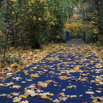 Погода у Вінниці у жовтні може здивувати температурою