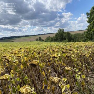 Незаконно розорані землі на Вінниччині