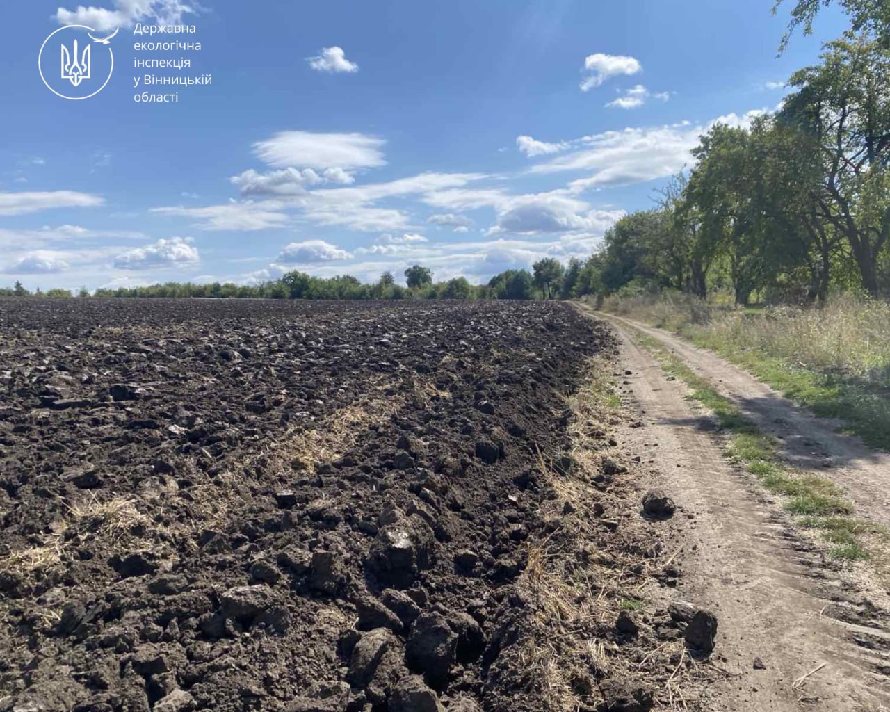 Самовільно захоплена ділянка в Чернівецькій громаді ВІнницької області