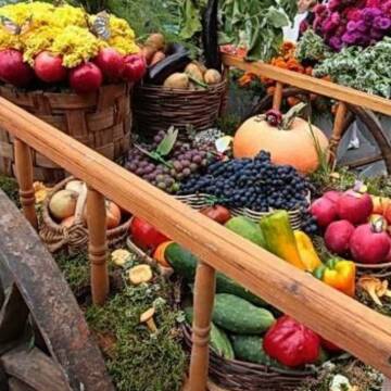 Осінній ярмарок у Щітках: що зможуть купити вінничани за доступними цінами