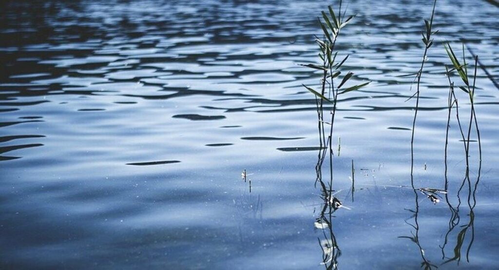На Вінниччині у водоймах загинули двоє людей