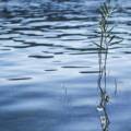 На Вінниччині у водоймах загинули двоє людей