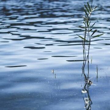 На Вінниччині у водоймах загинули двоє людей