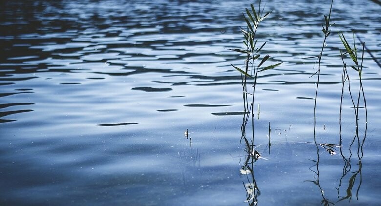 На Вінниччині у водоймах загинули двоє людей