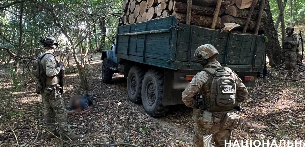 Збитки на 6 мільйонів: поліція викрила незаконну вирубку лісу в нацпарку «Кармелюкове Поділля»