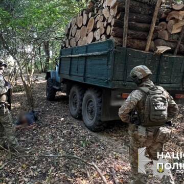 Збитки на 6 мільйонів: поліція викрила незаконну вирубку лісу в нацпарку «Кармелюкове Поділля»