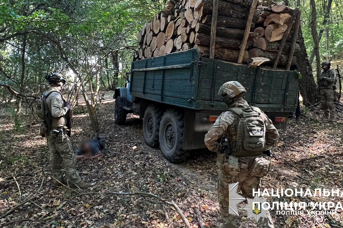 Збитки на 6 мільйонів: поліція викрила незаконну вирубку лісу в нацпарку «Кармелюкове Поділля»