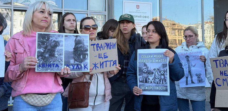 Плакати  та обурення: як у Вінниці мітингували через отруєння собак біля “Пироговки”