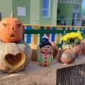У Подільському зоопарку розпочались гарбузові вікенди