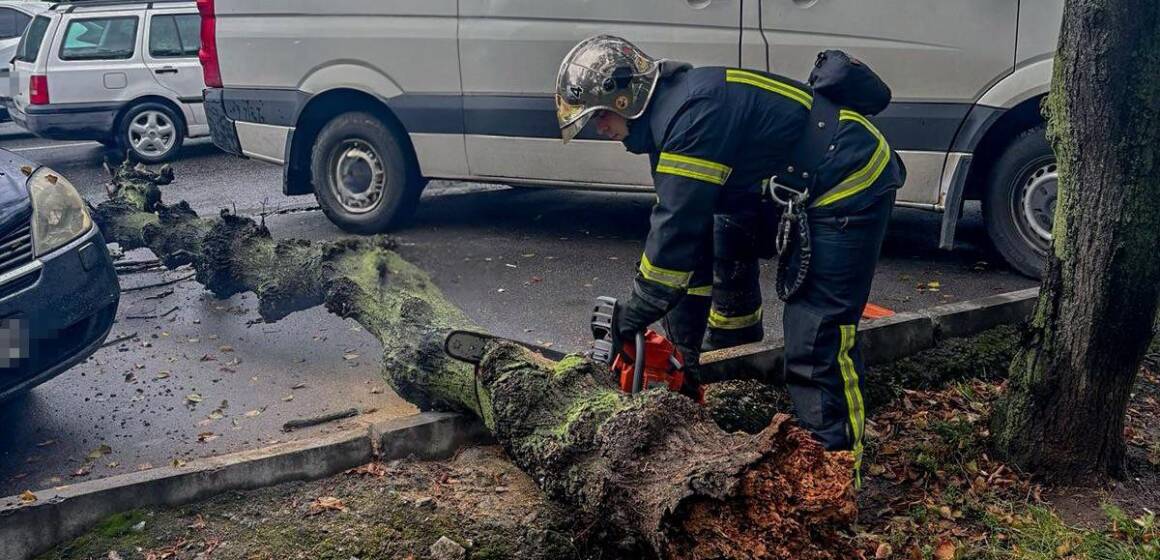 Негода на Вінниччині: рятувальники розчищали повалені дерева