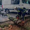 Негода на Вінниччині: рятувальники розчищали повалені дерева