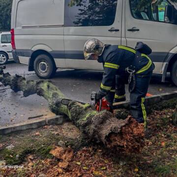 Негода на Вінниччині: рятувальники розчищали повалені дерева